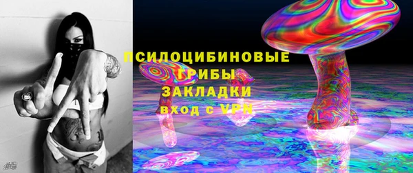 молекула духа Алзамай