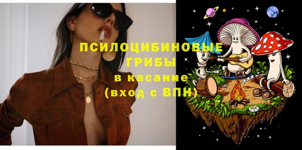 молекула духа Алзамай