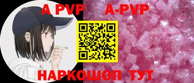 СК Моздок