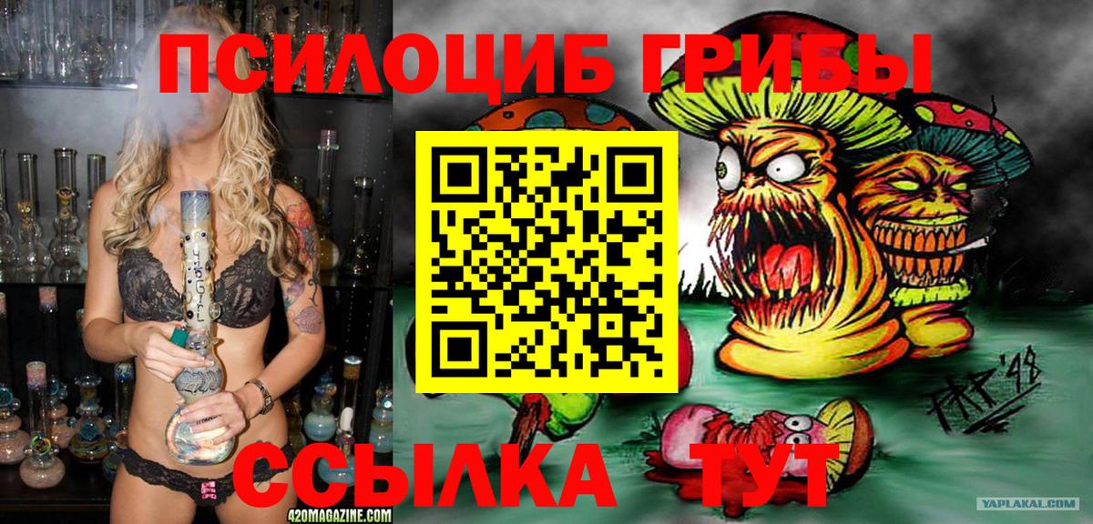 Галлюциногенные грибы Cubensis  Вход с VPN  Псилоцибиновые грибы Cubensis  Гуково 
